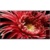 Sony KD-65XG8596 - фото 1