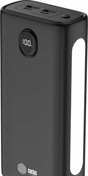 CACTUS CS-PBFSJA-30000 30000mAh фото