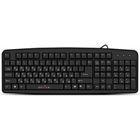 Oklick 100 M Standard Keyboard USB