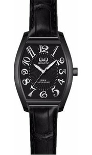 Q&Q C217-804 фото