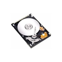Seagate Momentus 4200.2 ST9100822A 100 GB