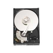 Western Digital Caviar Blue WD4000AAJS 400 GB фото