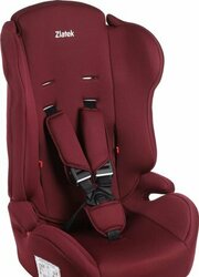 Zlatek Basic ZL513 KRES4137 фото